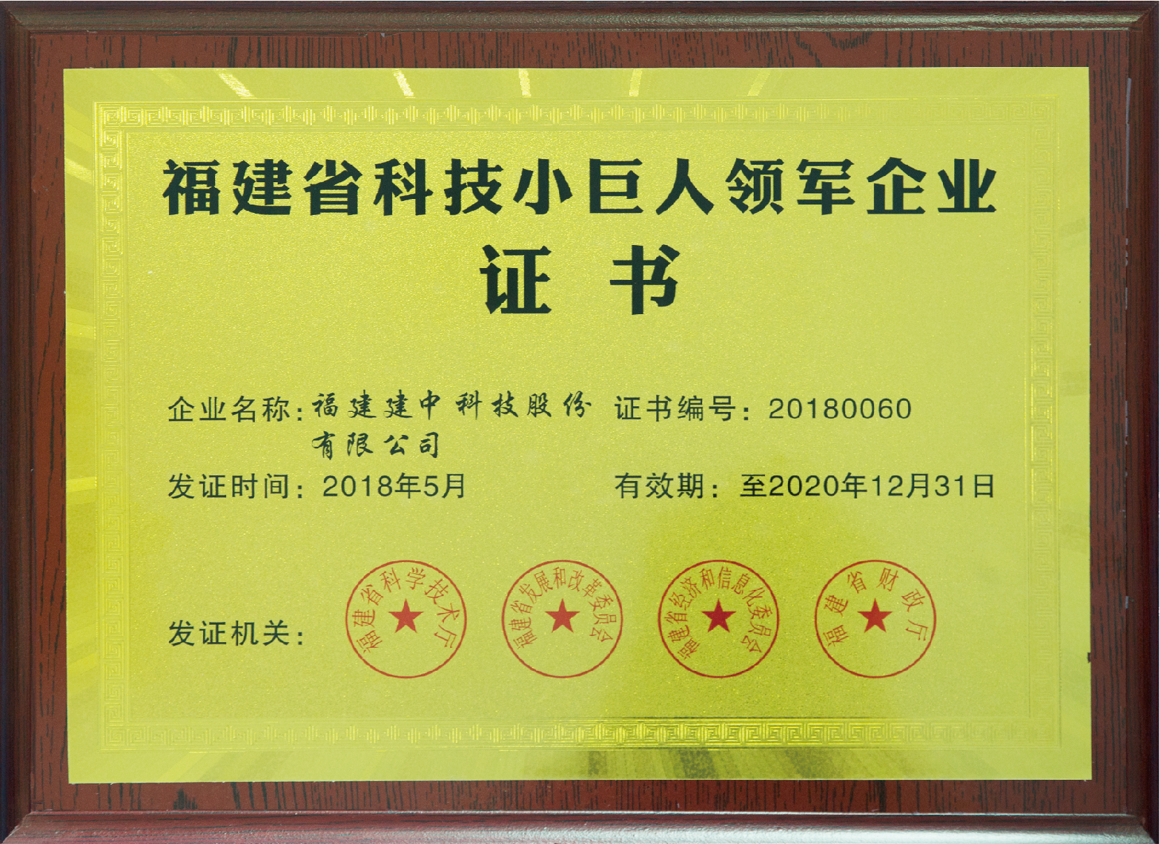 2018年 福建省科技小巨人领军企业